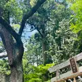 ことのまま八幡宮の写真_690474