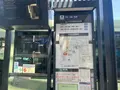 金閣寺（鹿苑寺）の写真_690490