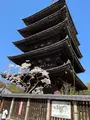 法観寺 八坂の塔の写真_690509