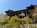 清水寺の写真_690513