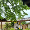 山越うどんの写真_691052