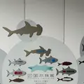 四国水族館の写真_691055