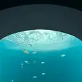 四国水族館の写真_691056