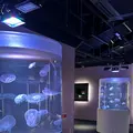 四国水族館の写真_691057