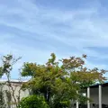 大塚国際美術館の写真_691074