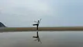 父母ヶ浜海岸の写真_691082