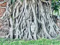 Wat Mahathat（ワット・マハタート）の写真_692464