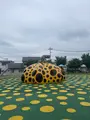 十和田市現代美術館の写真_693971