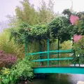 北川村「モネの庭」マルモッタンの写真_695342