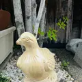 はと屋の写真_696669