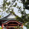 紅樹院の写真_696673