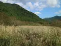 長除橋の写真_697810