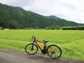 長除橋の写真_697811