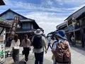 国宝犬山城の写真_699378