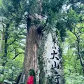大山寺の写真_699639