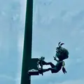 コナン大橋の写真_699694