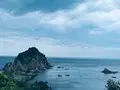 菜種五島の写真_699732