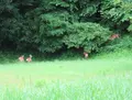 伊豆長岡駅前タクシー乗り場の写真_701503