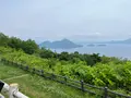 サイロ展望台の写真_701585
