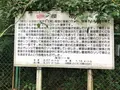 櫻花公園の写真_701653