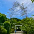 安房神社の写真_701745