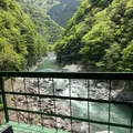 和の宿 ホテル祖谷温泉 Hotel Iyaonsenの写真_703697