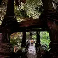 祖谷のかずら橋の写真_703778
