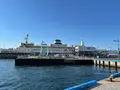 函館市青函連絡船記念館摩周丸の写真_704291