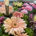 函館八幡宮の写真_704308