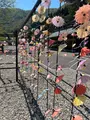 函館八幡宮の写真_704313