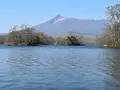 大沼国定公園の写真_704323