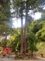 八幡神社の写真_708215
