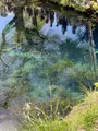 涌池の写真_708888