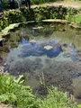 銚子池の写真_708893