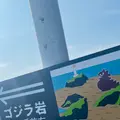 ゴジラ岩の写真_713639