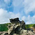 ゴジラ岩の写真_713640