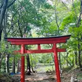 赤神神社五社堂の写真_713645