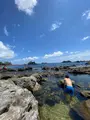 足付温泉の写真_714604