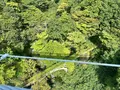 つつじ吊橋の写真_714826