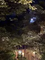 旅亭田乃倉の写真_715261