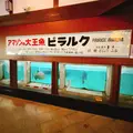 白池地獄の写真_716236