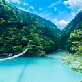 夢の吊橋の写真_719959
