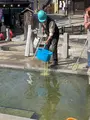 野沢温泉 麻釜の写真_720005