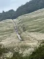 甘味処よもぎ屋の写真_722440