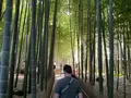 報国寺（竹寺）の写真_724527