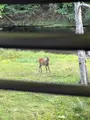 カムイの湯 ラビスタ阿寒川の写真_725701