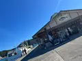 勝浦漁港にぎわい市場の写真_725951