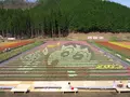たんとう花公園の写真_72693