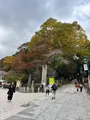 高尾山口駅の写真_728373