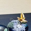 花影抄の写真_728506